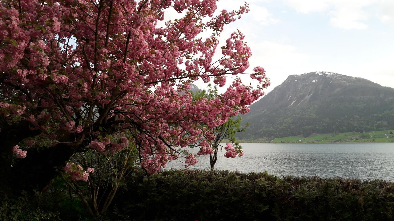 Aberseeblick Pension Ellmauer Saint Wolfgang Esterno foto